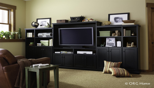 Home Entertainment Cabinet and Shelves Organizer